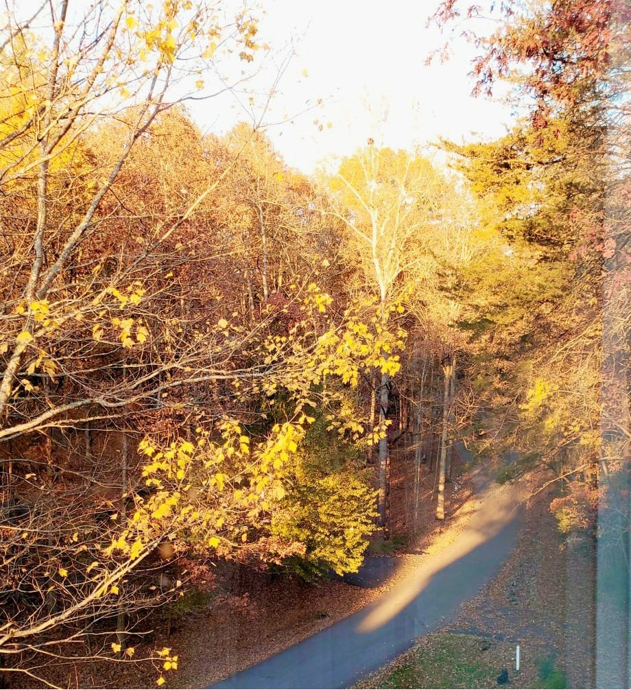 Fall Road