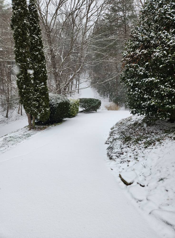 Snowy Road